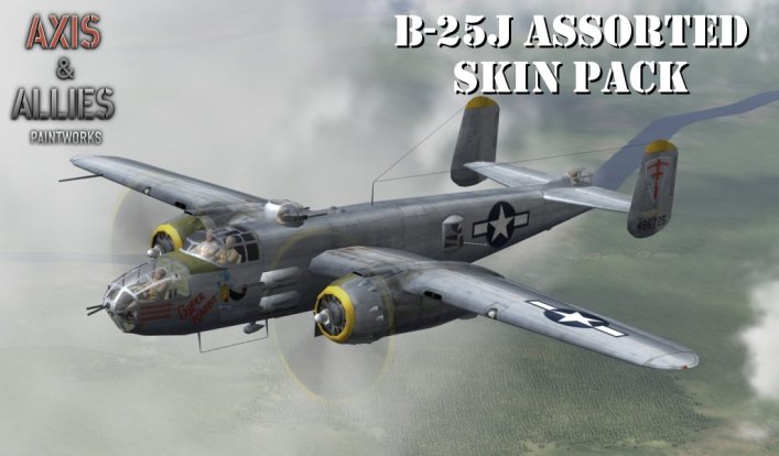 B25J_Asst2thumb.jpg