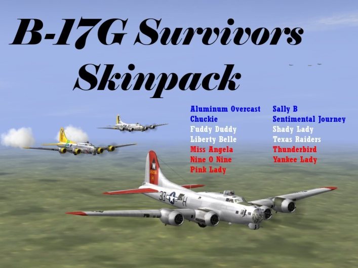 b-17_survivorsthumb.jpg
