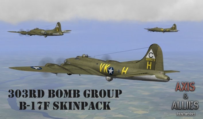 b17f_303bgthumb.jpg