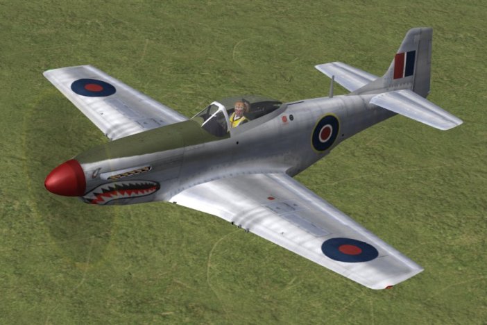 p51d_112sqnthumb.jpg